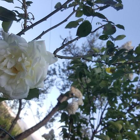 Rifugio Valentina Βίλα Uscio Εξωτερικό φωτογραφία