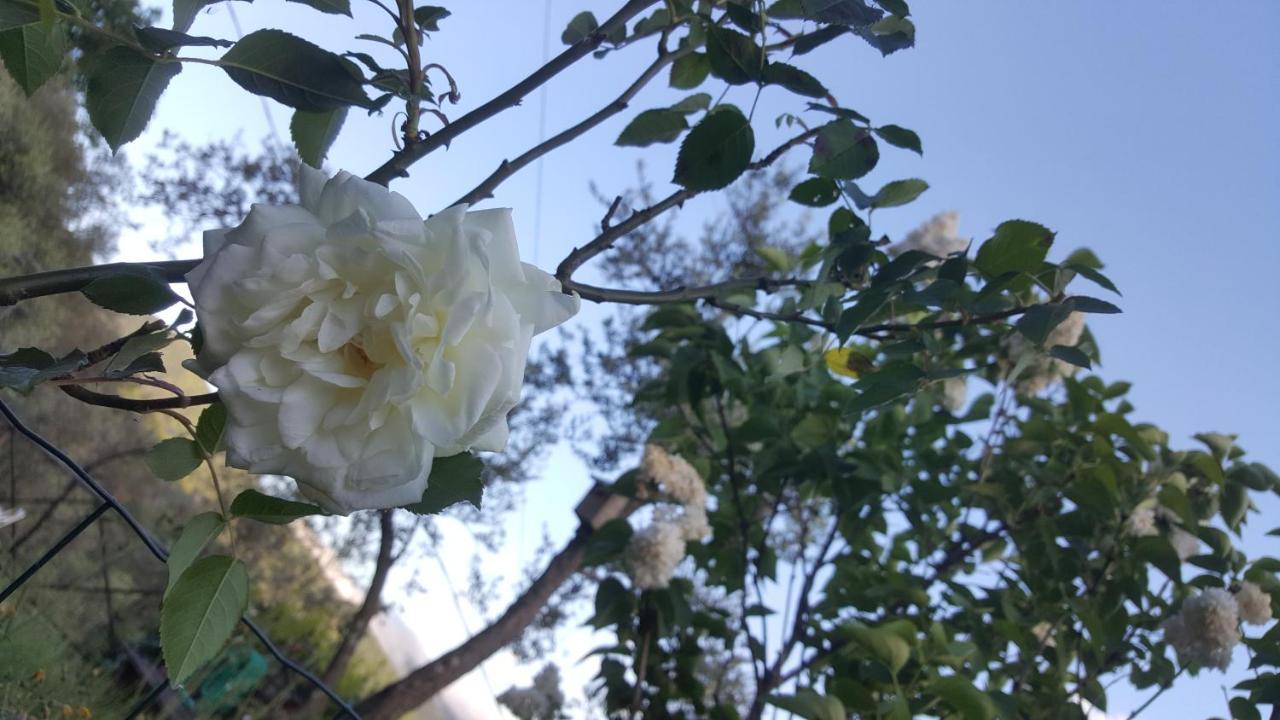 Rifugio Valentina Βίλα Uscio Εξωτερικό φωτογραφία